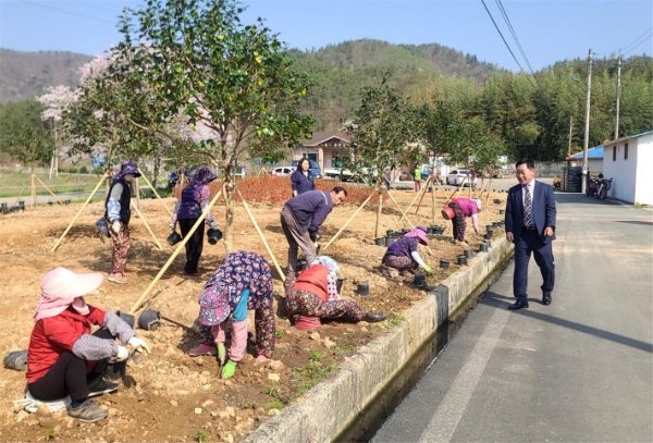 수국단지 조성 / 사진=장흥군 제공