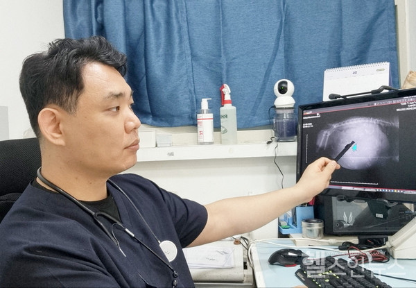 돌봄동물병원조결수의사