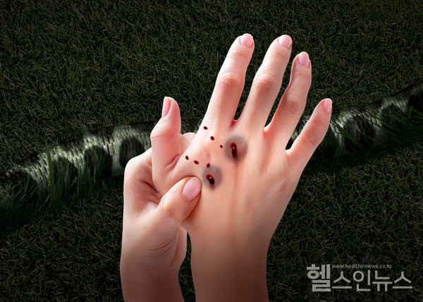 클립아트코리아