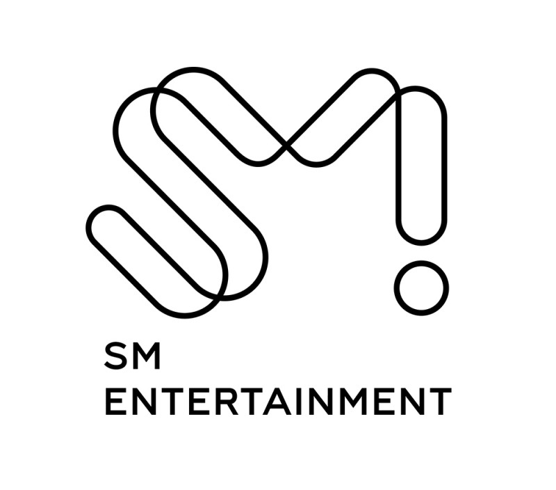 SM, 보아 관련 악플러 고소장 접수…"디시인사이드부터 시작, 선처나 합의 NO”