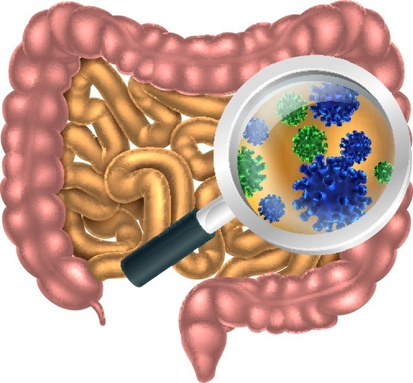 클립아트코리아