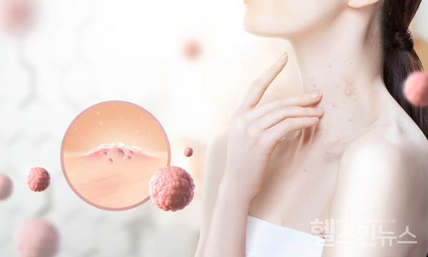 클립아트코리아