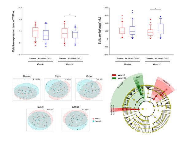 오라틱스구강유산균인체적용시험,구강면역효과국제학술지게재