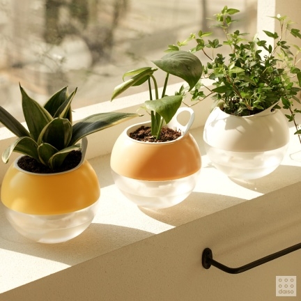 아성다이소, ‘원예 대전’ 실시.. 90여 종 상품 선보인다