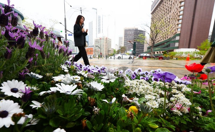 비 내리는 지난 15일 서울 중구 세종대로에서 한 시민이 우산을 쓰고 출근하고 있다.