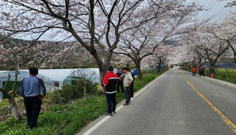 현장교육 / 사진=진도군 제공