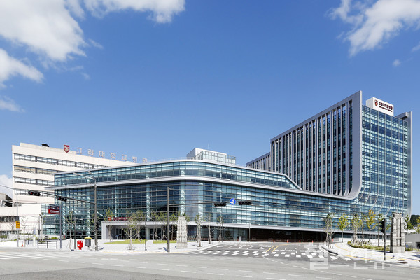 고려대학교안암병원