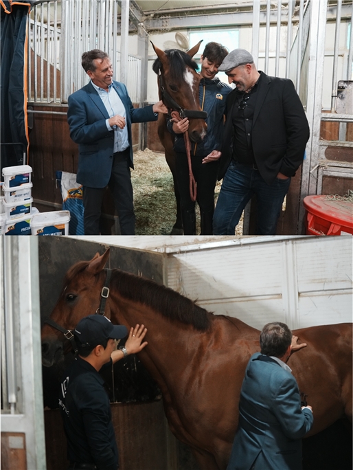 사진제공: 홀스픽쳐