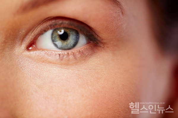 클립아트코리아