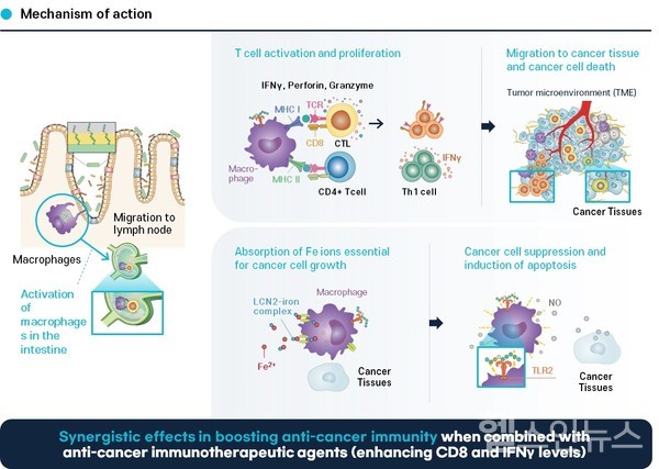 사진설명:IMB001MOA