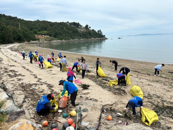 연안정화의날 / 사진=장흥군 제공
