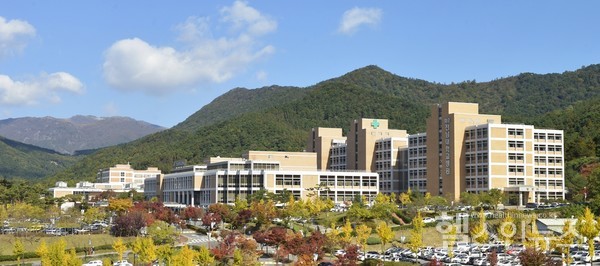 화순전남대병원전경사진