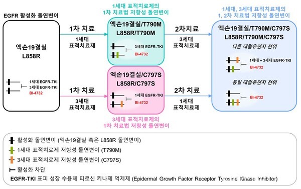 BI-4732는1~3차요법에거친모든단계에서치료효과를확인할수있었다
