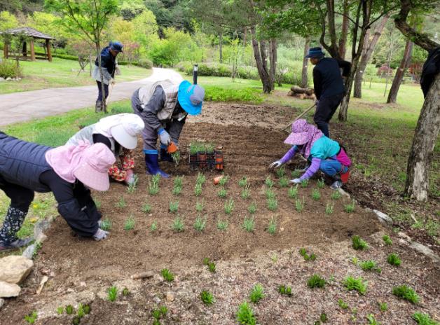 홍천군, 공작산 생태숲愛 야생화 꽃피우다