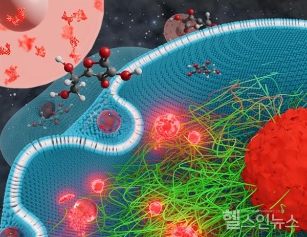 ‘나노투데이(NanoToday)’6월호표지에실릴연구이미지-세포내로유입되는나노입자와소멸에대한3D모식