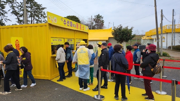 무료 입장 / 사진=신안군 제공