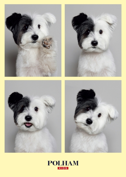 사진 - 폴햄키즈 제공