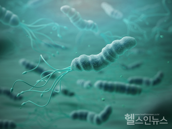 클립아트코리아