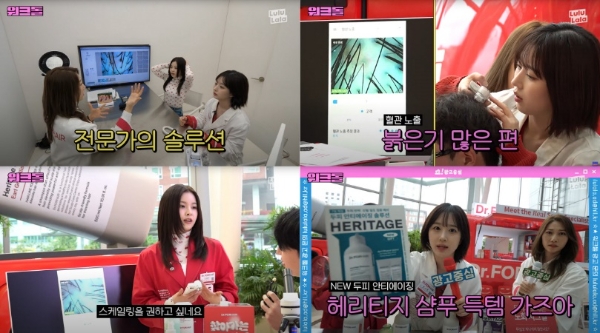 닥터포헤어, 유튜브 워크돌 협업 기념...올리브영 프로모션 실시