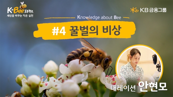 KB금융, '꿀벌의 비상' 영상 공개
