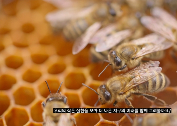 이번 한국어 영상의 주요 장면