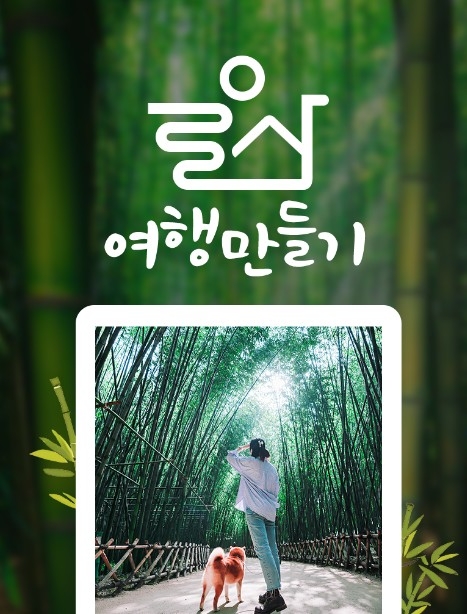 제공=웹투어