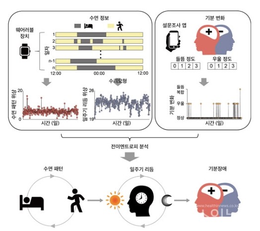 웨어러블기기를통해수집한수면정보와수리모형을사용하여매일의수면패턴과일주기생체리듬위상을계산했다.또한,스마트폰을이용하여매일기분증상에관한설문조사결과를수집했다.이렇게얻어진시계열데이터사이의인과관계를전이엔트로피방법을통해분석한결과,장기간의수면패턴교란이일주기생체리듬위상의교란을초래하며,이는기분증상의악화에직접적으로영향을미친다는것을밝혀냈다.