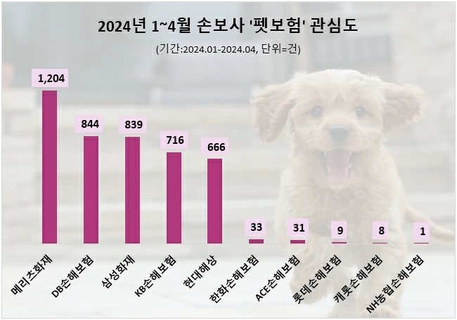 '펫보험' 정보량 메리츠화재·DB손보·삼성화재 순…"1인가구 늘며 관심도 급등"