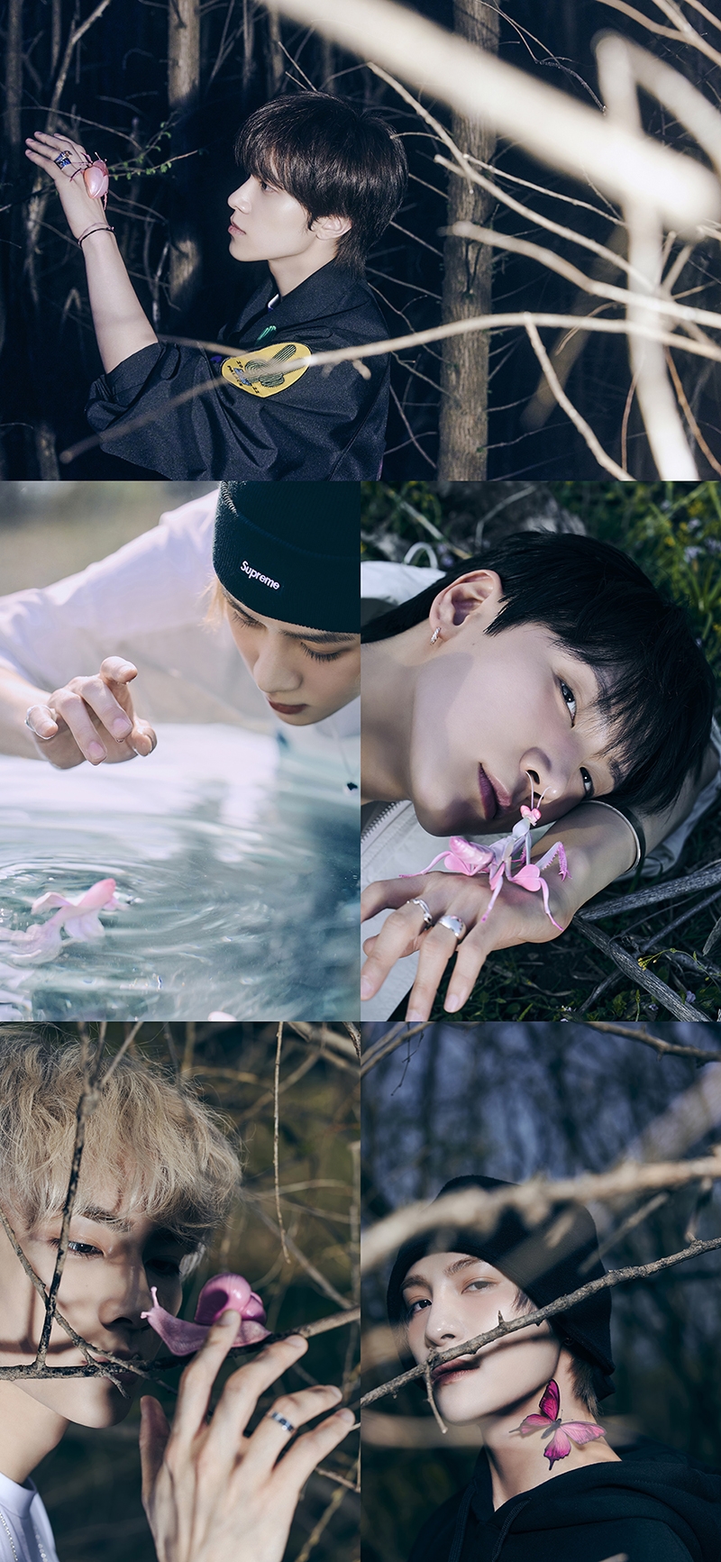 WayV, 미니 5집에 담은 다양한 사랑의 감정…무드샘플러+하이라이트 메들리+티저 이미지 순차 오픈