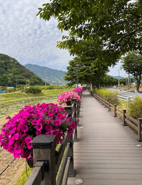 금산군 금산천‧후곤천 꽃길 데크산책로