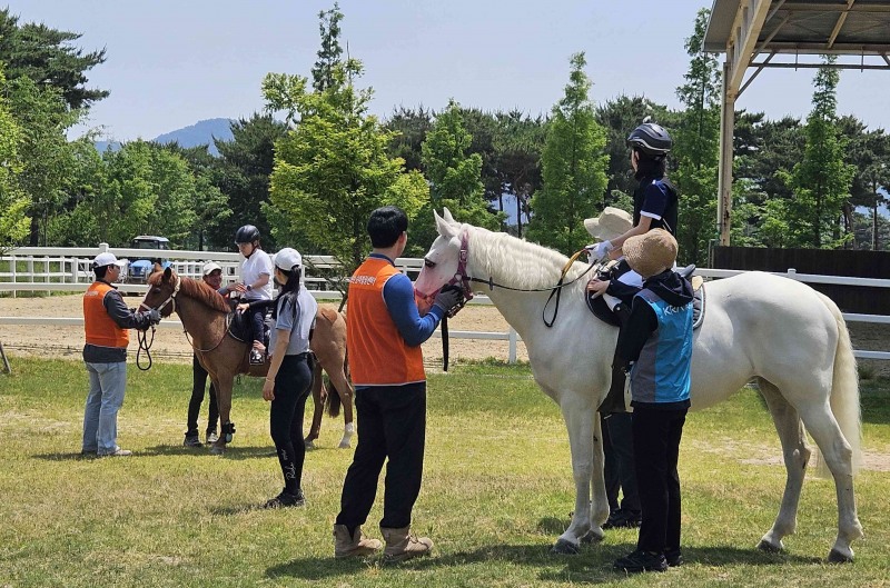 렛츠런파크 부산경남 재활승마 모습