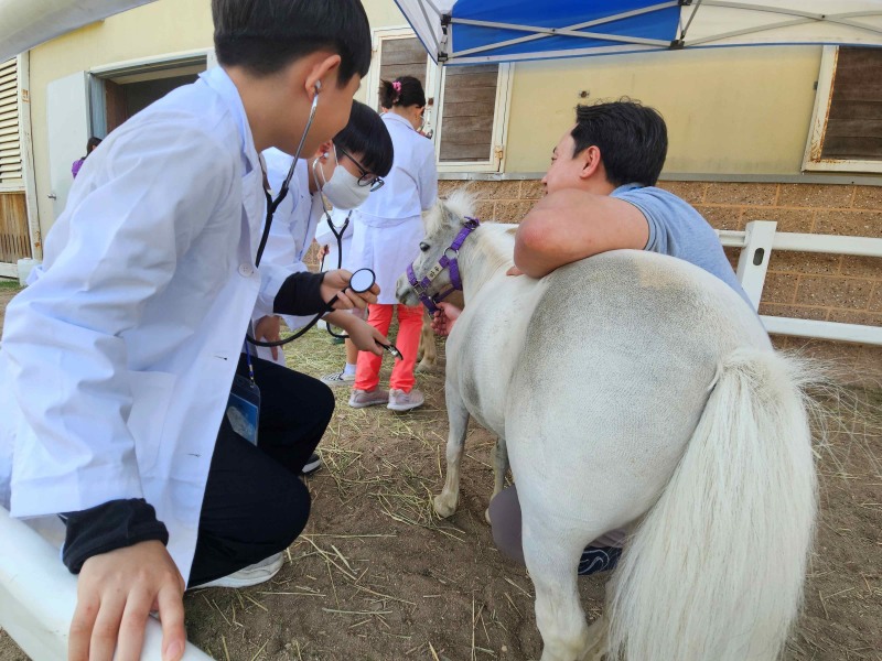 렛츠런파크 부산경남 늘봄학교 프로그램