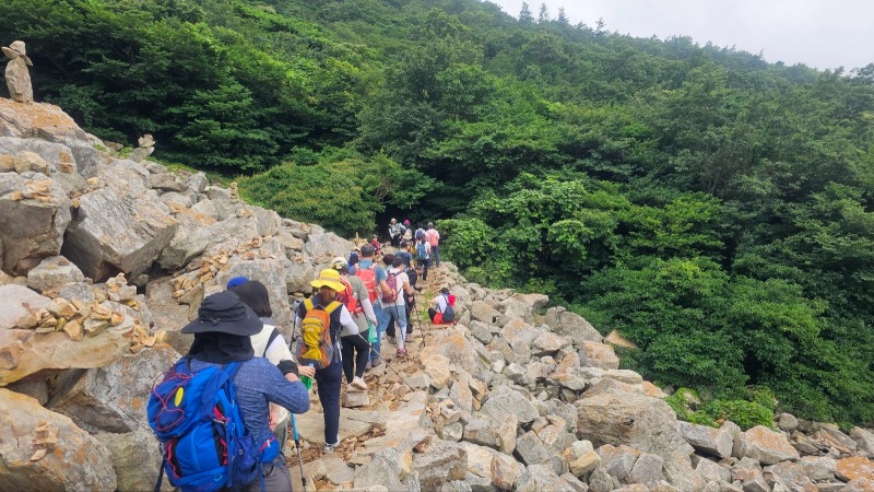 달마고도&코리아둘레길 워킹데이 (사진제공 = 해남군)