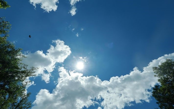 28일 오후 서울 종로구 성균관대학교에서 바라본 하늘이 파랗게 보이고 있다.