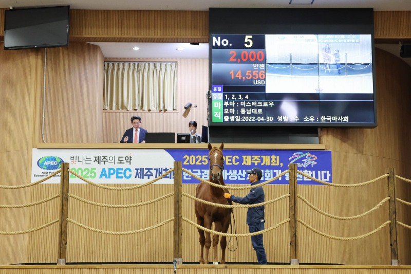 올해 두 번째 경주마 경매 개최