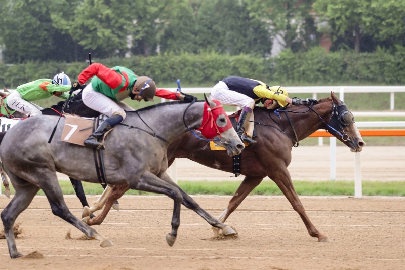 스포츠경향배 우승의 포에버드림과 임다빈 기수