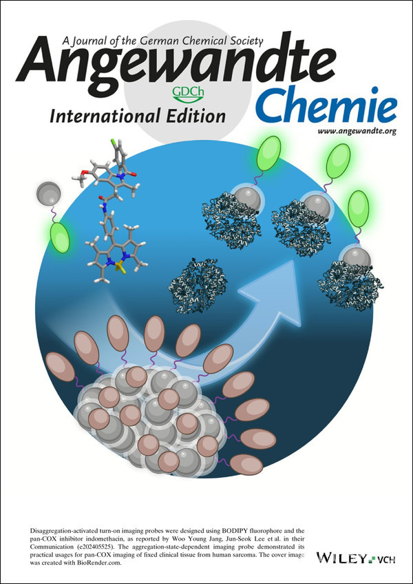 AngewandteChemieInternationalEdition표지논문으로실린모습