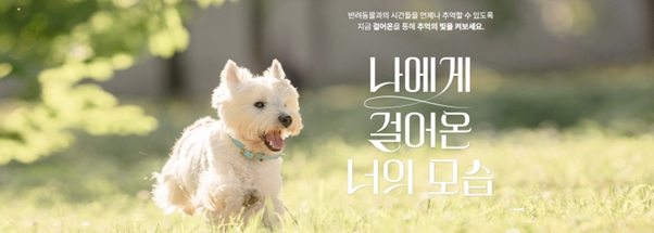 포포즈, 반려동물 장례식장 브랜드 1위 기념 감사 행사