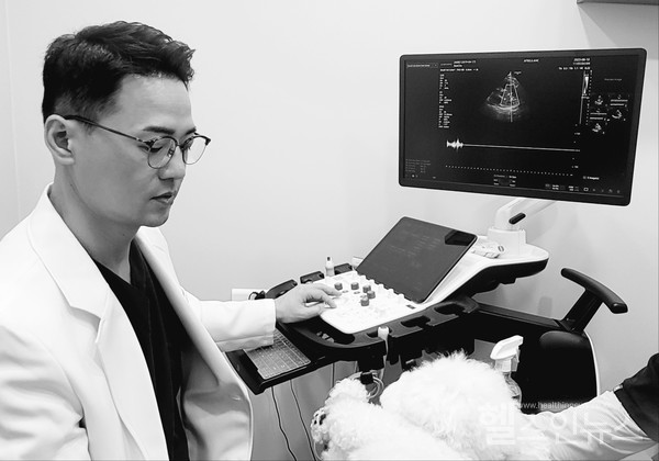 아프리카동물의료센터유제혁원장