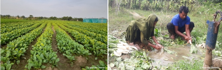 세이브더칠드런 ‘아동노동 반대의 날’ 맞아 네팔 지원 성과 공개