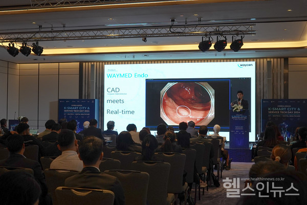 웨이센해외사업총괄남기혁책임이‘한-아세안서비스테크사절단’행사무대에서발표를하고있다.