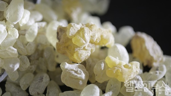 프롬바이오제공,보스웰리아추출물이미지