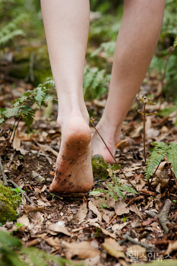 클립아트코리아