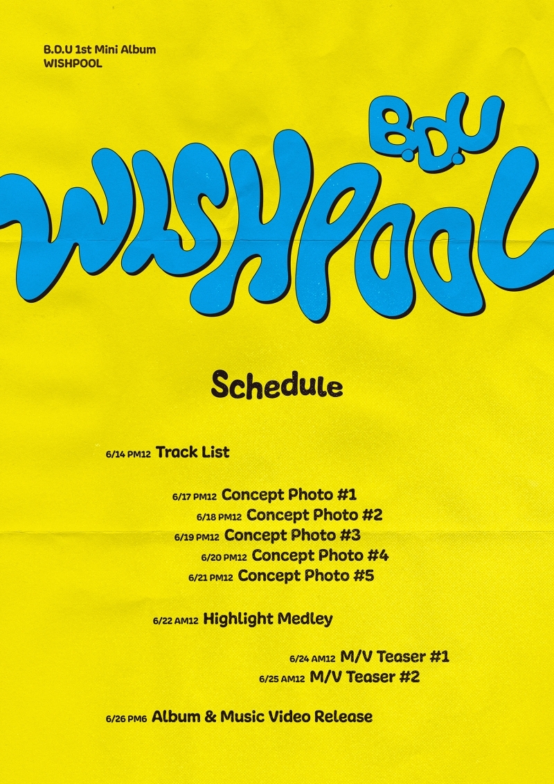 비디유, 'Wishpool' 스케줄러 공개…'다채로운 콘텐츠+색다른 매력'