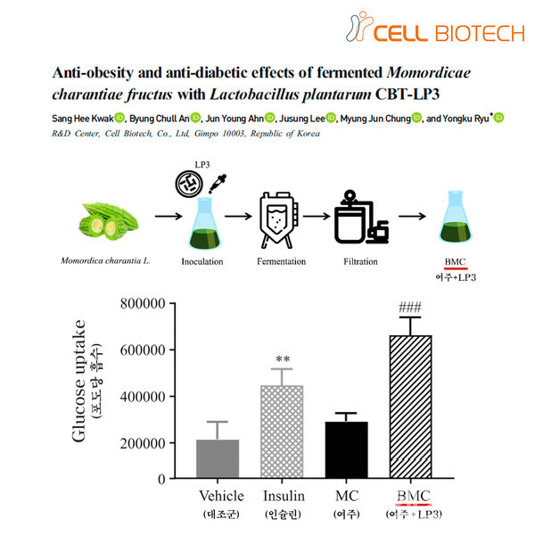 쎌바이오텍,지방세포를이용한포도당흡수효능평가