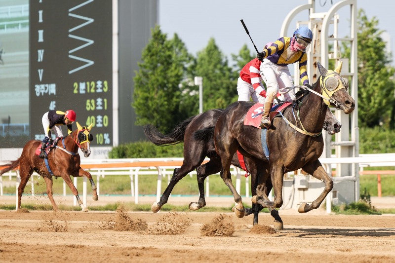 경기도지사배 우승마 세이렌과 장추열 기수 결승선 통과