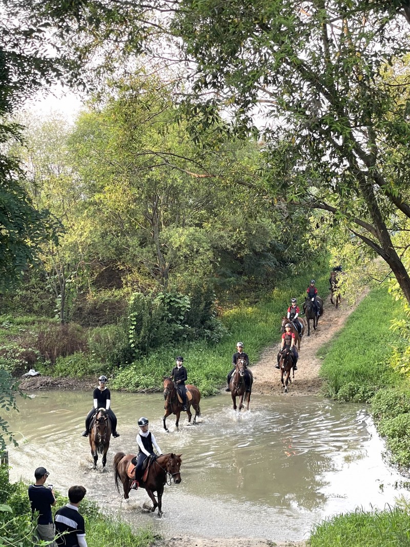 지난해 유소년 승마캠프 강습 현장