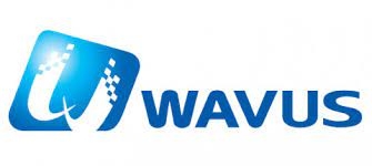 웨이버스, 주가 급등…동해 가스전에 'CCS' 사업 추진에 들썩