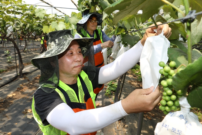 NH투자증권, ‘범농협 한마음 농촌일손 지원의 날’ 봉사