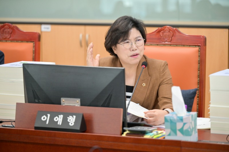 경기도의회 이애형 의원